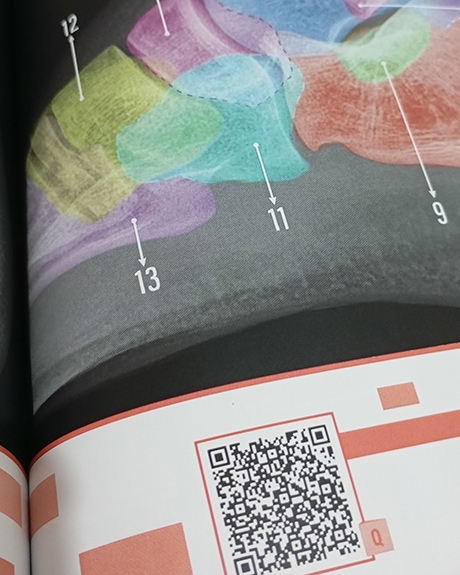 QR Code em todos os capítulos